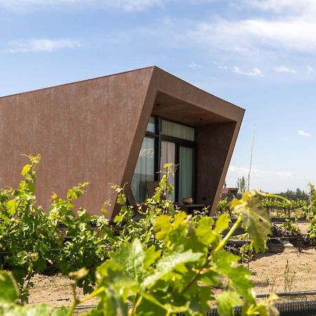 Andeluna Winery Lodge Tupungato Ngoại thất bức ảnh