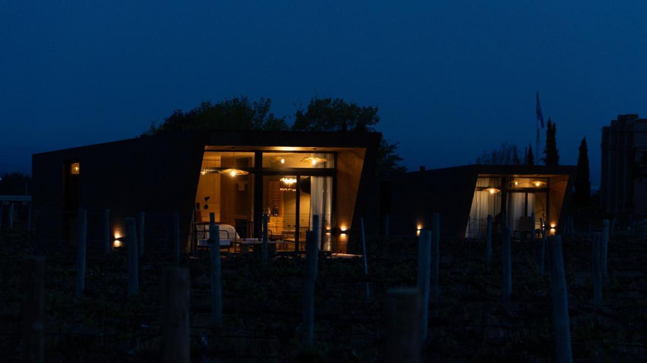 Andeluna Winery Lodge Tupungato Ngoại thất bức ảnh