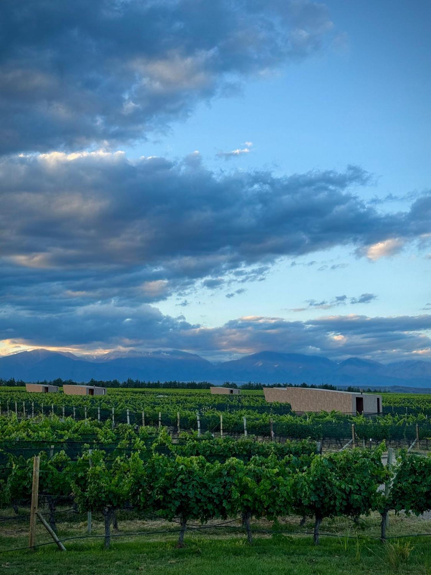 Andeluna Winery Lodge Tupungato Ngoại thất bức ảnh