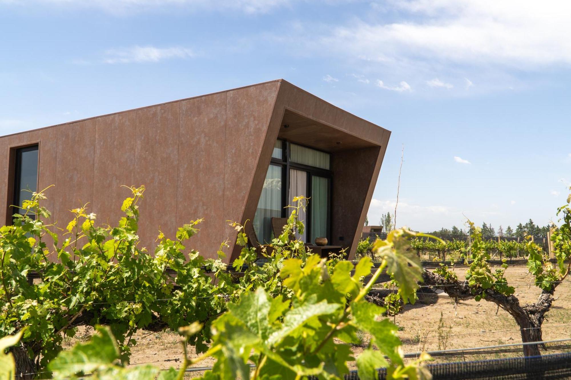 Andeluna Winery Lodge Tupungato Ngoại thất bức ảnh